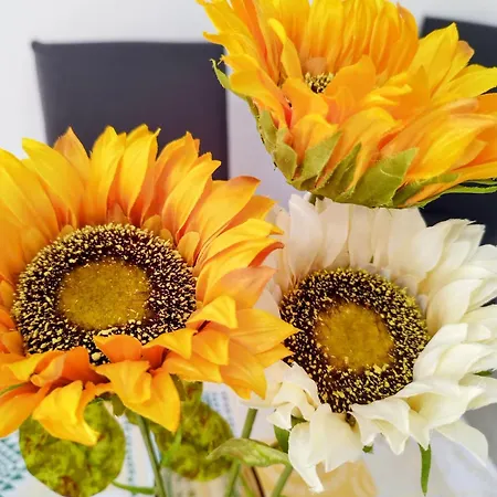 Сasa de vacaciones Casa Girasol Los Cristianos (Tenerife)