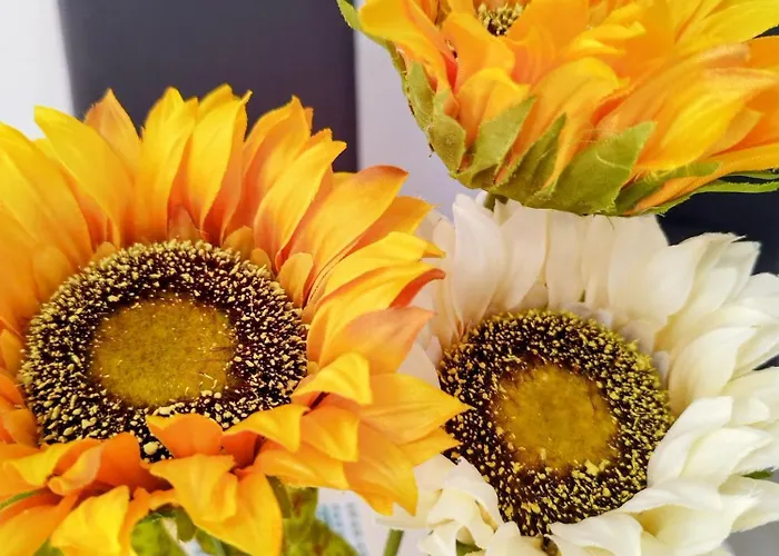 Nyaraló Casa Girasol Los Cristianos